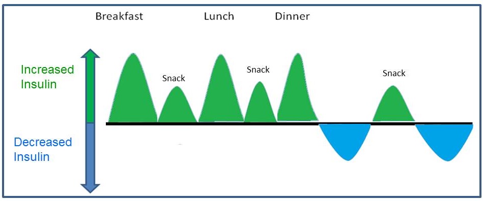 New eating patter and it's impact on insulin