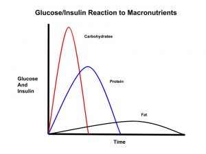 Glucose-Insulin Reaction to Macro-nutrients